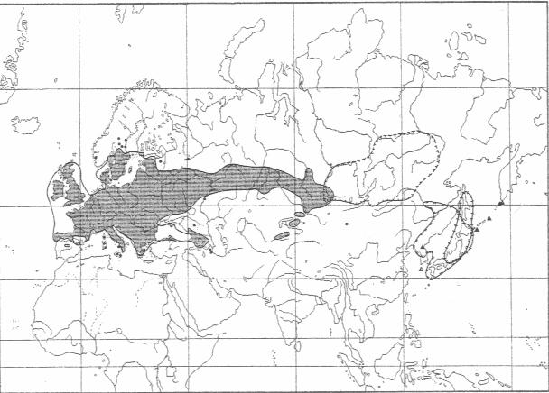 Carex caryophyllea ostřice jarní travnaté svahy, meze, světlé