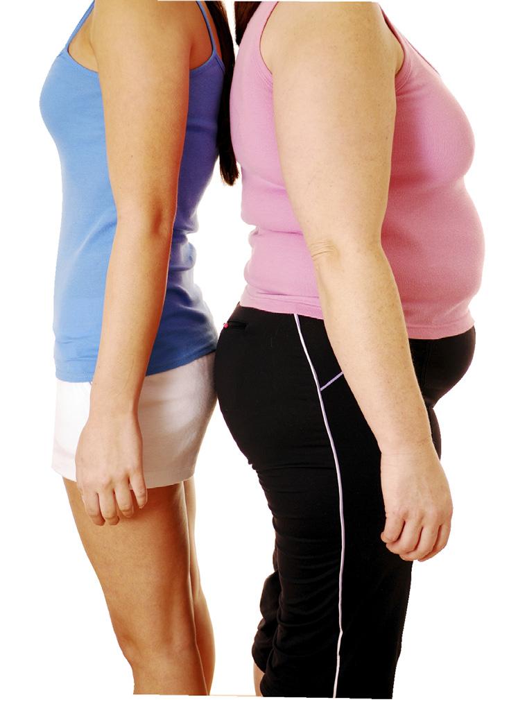 JAK SPRÁVNĚ HUBNOUT 2014 6/6 Obezita a zdravotní rizika Diety, návody, zkušenosti.