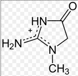 Praktický odhad glomerulární filtrace c U. V U Cl= ---------------- c PL Z praktických důvodů se odhad provádí ze stanovených koncentrací eobiotika KREATININU.