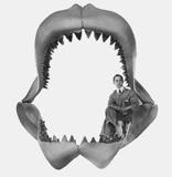 , Fletcher, H., & Prodöhl, P. A. (2007). Virgin birth in a hammerhead shark.