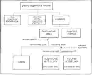 Rozklad organické hmoty Mikrobiální rozklad složitejších polymerních látek (celulóza, lignin, proteiny..) Jednodušší monomerní látky (cukry, aminokyseliny.