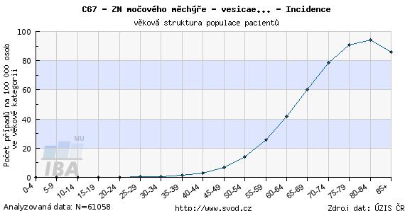 Nádory m.m. 3x častěji muži U mužů 6% nádorů, 5. místo Maximum výskytu 70-90 let Rizika - kouření, expozice kancerogenů, infekce moč.