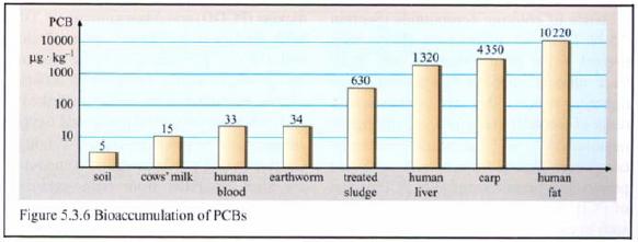 V důsledku působení PCB na ryby roste nejen aktivita jejich monooxygenázy, ale také celkové množství cytochromu P-450 v mikrozomálních frakcích odebraných z jater ryb.