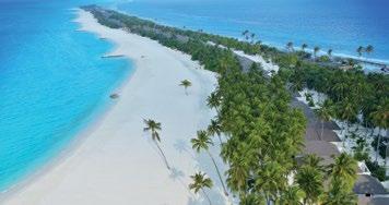 Od té doby se zařadil mezi nejlepší své kategorie na Maledivách. Atmosphere Kanifushi Maldives je ideální volbou pro rodiny, neboť vily bez problémů ubytují čtyři členy rodiny.