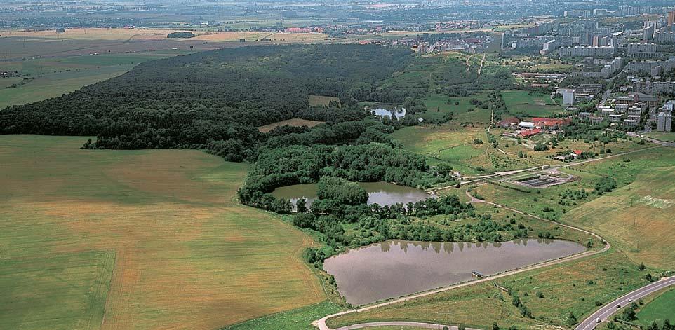 Pfiírodní park Botiã-Milíãov Vyhlá en v roce 1984 na plo e 873 ha.