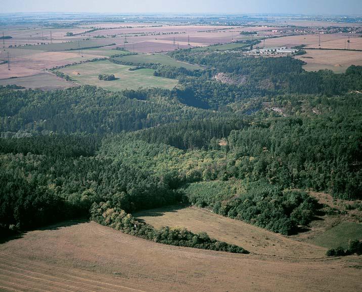ml nem k okraji Radotína a pfiítokû Radotínského potoka od Zadní Kopaniny, Kosofie, Lochkova i Slaviãího údolí.