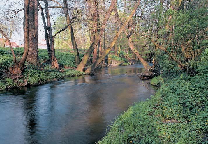 Pfiírodní park Hostivafi- -Zábûhlice Vyhlá en v roce 1990 na plo e 372 ha. Jde o men í pfiírodní park, kter dnes tvofií enklávu uvnitfi velkoplo né mûstské zástavby. PozÛstává ze dvou ãástí.