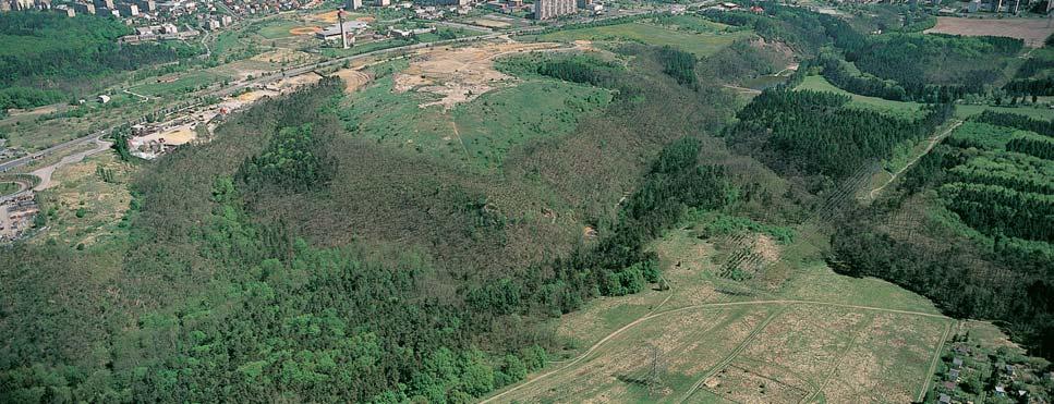 Pfiírodní park Modfianská rokle-cholupice Vyhlá en v roce 1991 o rozloze 1 531 ha. Území pfiírodního parku se nachází v prostoru obcí Modfiany, Komofiany, Písnice, Cholupice a Toãná.