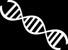 !) k zabránění kontaminace pipet se pro práci s DNA používá špička s filtrem k zabránění kontaminace vzorku a chemikálií se pro každou chemikálii používá vždy nová špička (jednu