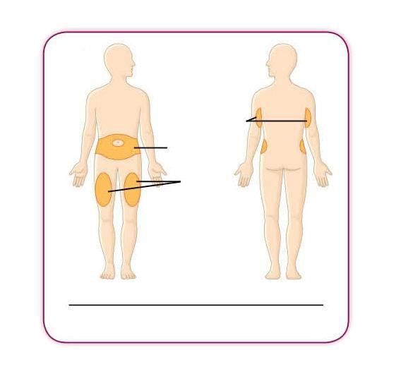 4d Zadní strana horní části paže Břicho Stehno Zepředu Zezadu Oblasti těla pro aplikaci