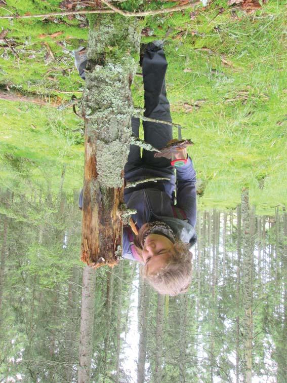 Národní park Šumava je tou nejlepší učebnou pod širým nebem www.npsumava.