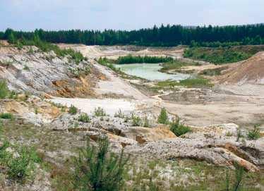 vývoje(i přes 100 let) vhodná pro kumulaci druhů druhy vázané na konkurenčně slabé druhy rostlin mozaiku obnažených