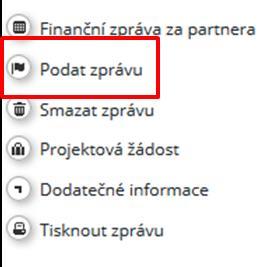 Poté, co jste kompletně zpracovali Zprávu za partnera, klikněte na Zkontrolovat uloženou zprávu.