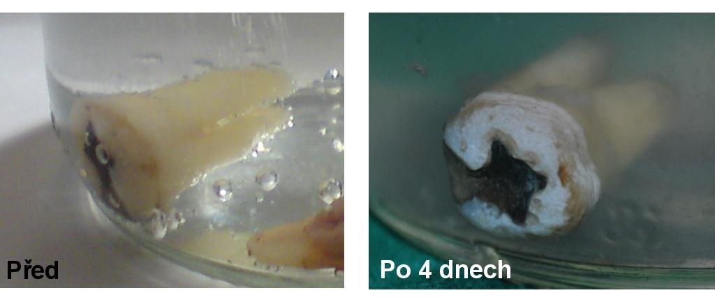 Obrázek 7- Porovnání účinku I Obrázek 8 - Porovnání účinku II 8.4.1.