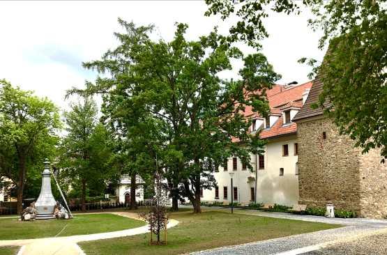 Trochu to komplikovalo život i nám při revitalizaci Vrchlického sadů, která je nyní dokončena, a to při zakládání trávníků a dalších parkových úpravách.