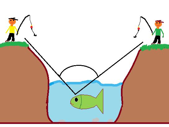 Odhadni, jaký zorný úhel má člověk..... Jak vidí ryby nad hladinu Zorné pole ryby zorný úhel 97, 6 4.