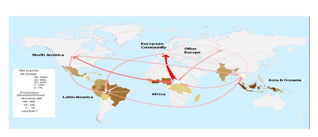 3.1.1. Forastero Celosvětově nejrozšířenější a nejvíce využívanou odrůdou při výrobě čokolády, jsou kakaové boby odrůdy Forastero, které tvoří 5 0 % celosvětové produkce.