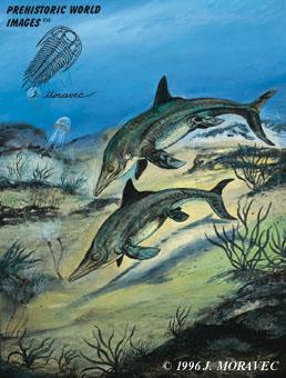čelisti s homodontními zuby (200), velké oči - rychlí lovci (2-3 m), živorodí, parapsidní