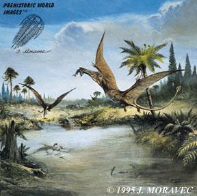a distální řadou tarzálií Pterosauria ( ) - ptakoještěři,