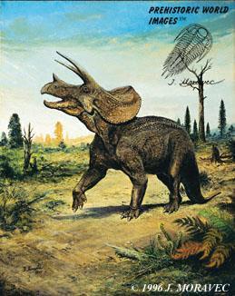 hadrosauři)(ornithopoda) a rohatí