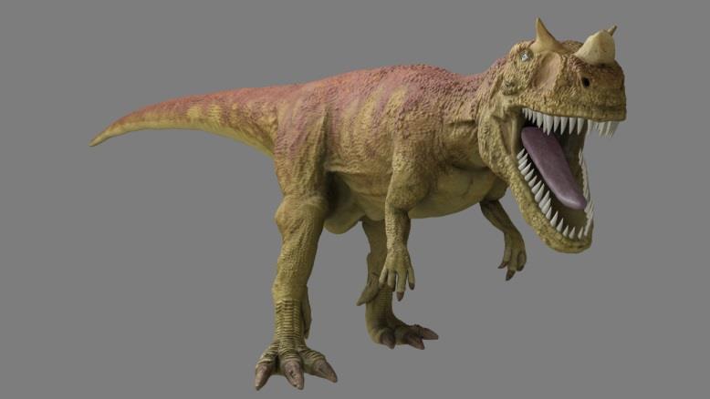 Tyrannosaurus Ornithomimisauridae ( ) Maniraptora (