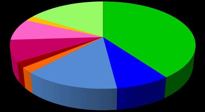 Tabulka 14.4 3% borová mast Počet Vyjádření v % Bepanthen ung. 20 40,0% Betadine ung. 4 8,0% Calcium panthotenicum ung. 7 14,0% Canaderm kosmetika 1 2,0% Dermazulen ung. 1 2,0% Infadolan ung.