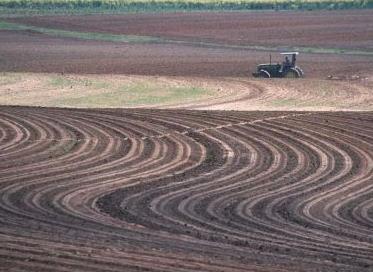 2. Opatření agrotechnického charakteru Opatření