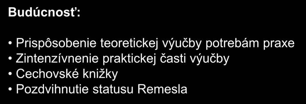 Budúcnosť: Prispôsobenie teoretickej výučby potrebám praxe