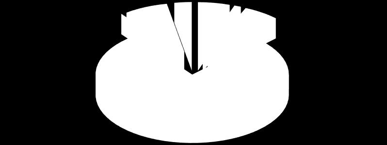 0% 7% 3% 77% 6% 1% 6% materiál energie služby osobní náklady ostatní náklady odpisy majetku drobný dl.majetek Graf. č. 14 Podíl jednotlivých složek nákladů 3.5.1 Zakázky v rozsahu nad 100 tis.