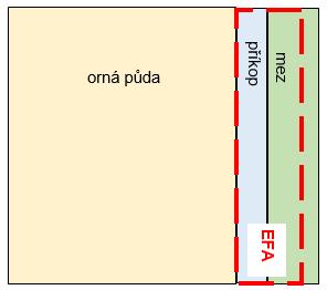 Podmínkou je, že oba sousedící krajinné prvky musí ležet na DPB s kulturou M stejného uživatele, aby byly deklarovatelné jako prvky EFA.