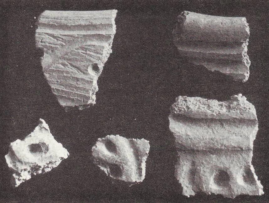 V nejstarším období třetí jihoamerický komplex z Valdivie obsahoval téměř výlučně kulovité kotlíky s ven vyhrnutým okrajem, kromě malý otevřených misek s