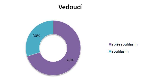 12. Stanovené cíle, kterých lze dosáhnout, jsou pro mě výzvou.