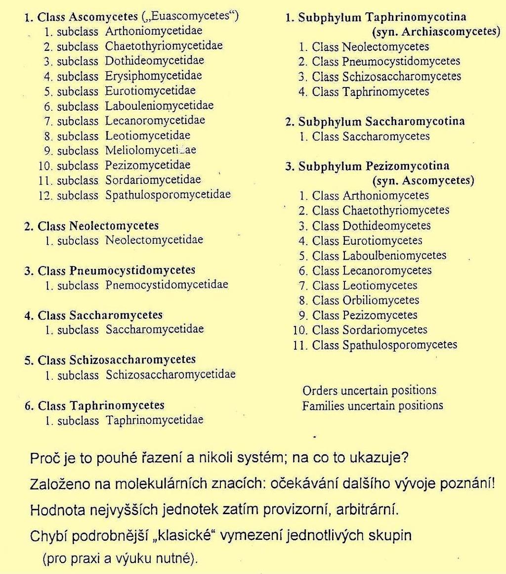 DICTIONARY 2001 OUTLINE 2007 Ascomycota Ascomycota Srovnání dvou provizorních způsobů řazení vyšších