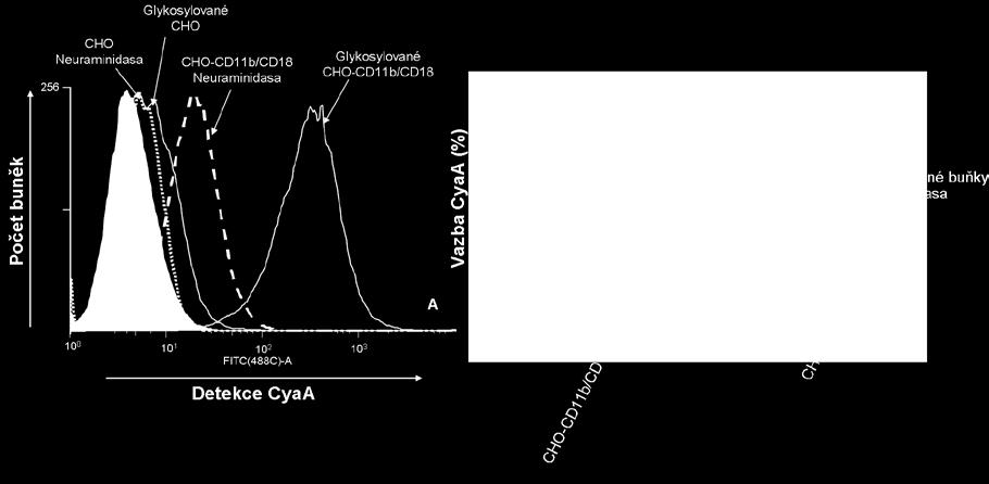 Do grafu byl vynesen počet živých buněk proti logaritmu fluorescence AlexaFluor488.