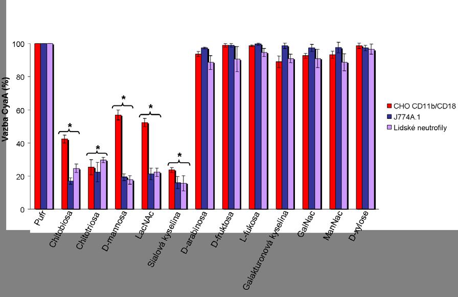 Výsledky Obr. 48: Inhibice vazby CyaA k buňkám produkujícím integrin CD11b/CD18 volnými sacharidy.
