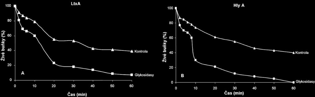 Z těchto výsledků vyplývá, že glykosylace CD11a/CD18 je nezbytná pro účinné cytotoxické působení LtxA a HlyA na buňky.