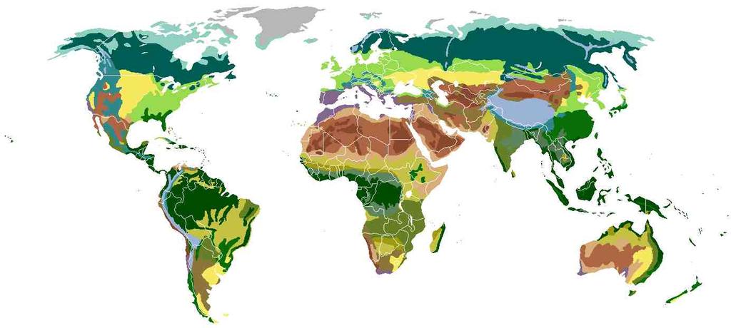 Pozemní biomy tříděné podle vegetace polární pustina tundra tajga listnaté lesy mírného pásu stepi mírného pásu subtropický deštný prales středomořská vegetace monzunový les vyprahlá poušť suchomilné