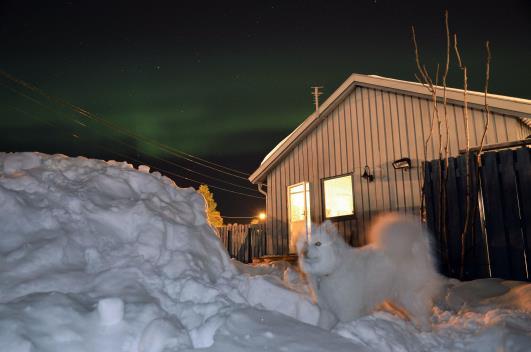Díky putování za polární září Norskem uprostřed zimy jsme poznali mnoho tváří