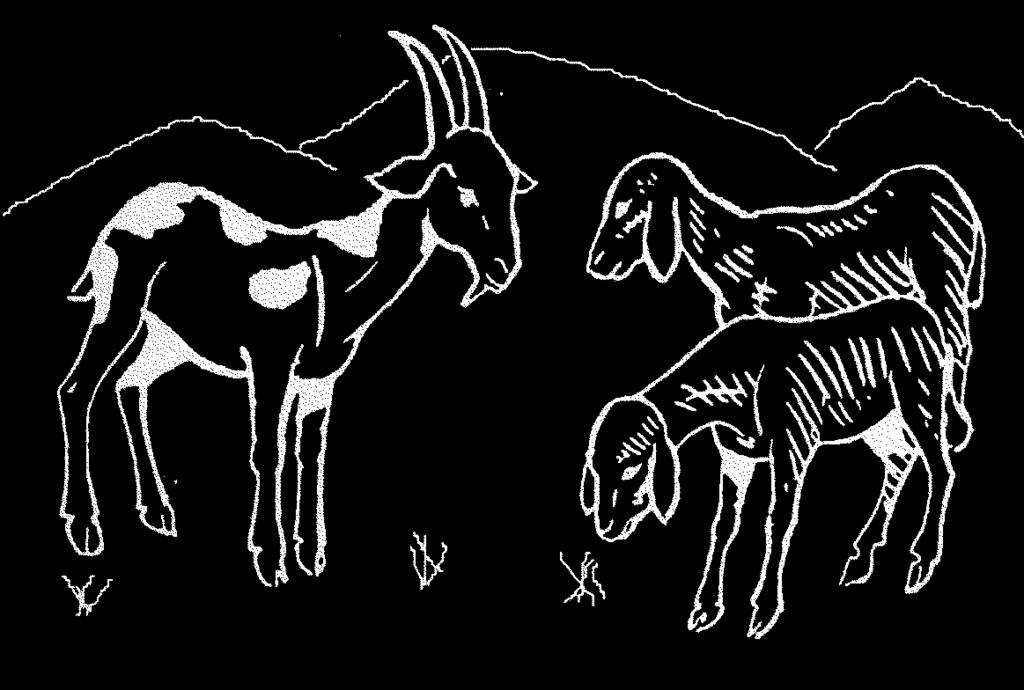 2. PŘÍBĚH: Abram a Lot Abram se stal velmi bohatým mužem. Měl mnoho velbloudů, koz a ovcí. I jeho synovec Lot měl mnoho stád dobytka.