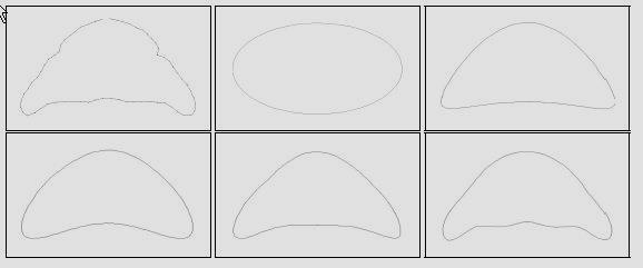 např. tvar hlavohrudi trilobita Analýza obrysů obrys digitalizován pomocí 64 bodů k adekvátnímu popisu tvaru pomocí EFA dostačuje 9 harmonických složek, tj.