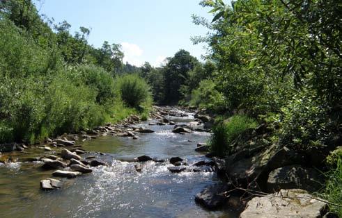 Monitoring druhů Monitoring vydry říční v ČR Trvání projektu: dlouhodobé AOPK ČR Tým ALKA Wildlife, o.p.s.: L. Poledník, Š. Zápotočný, G. Čamlík, K.