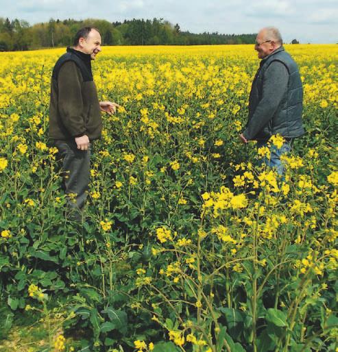 24 28 36 Řepkové obzory agrotip Řepkové obzory 09 Regulace problematických plevelů ozimé řepky 14 Nimbus Gold - inovace v preemergentní herbicidní ochraně