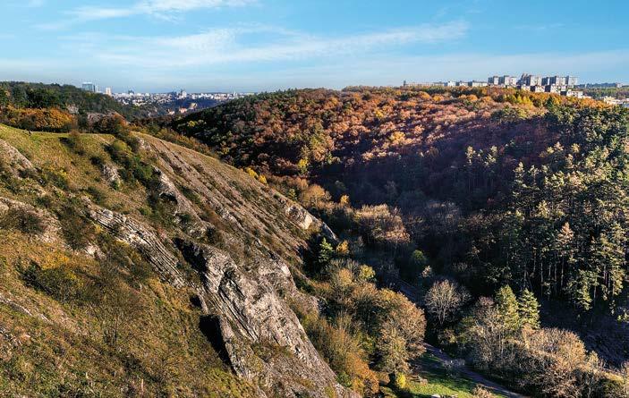 V nabídce jsou promyšlené dispozice větších rodinných bytů 3+kk a 4+kk, které kromě dostatečného prostoru poskytnou i velkorysé terasy.