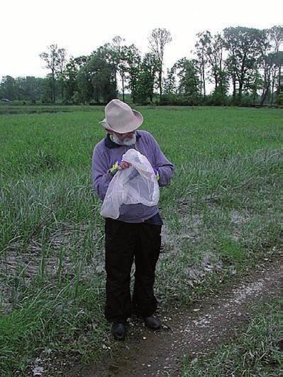9 Invazivní druhy komárů jako potenciální riziko Obr. 6 Tradiční sběr dospělců komárů pomocí entomologické síťky (foto I. Rudolf) samiček se často používá tzv. EVS (Encephalitis Vector Survey) past.