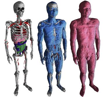 Oddíl 5 Referenční materiály 121 Obrázek D5 Model lidského těla: příklad heterogenního, anatomicky realistického modelu mužského těla.
