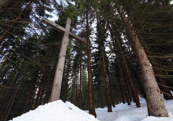 pokračuje rovně. Opět vás povede lesní cestou a zhruba po 700 m narazíte na rozcestí, kde pokračujete rovně.