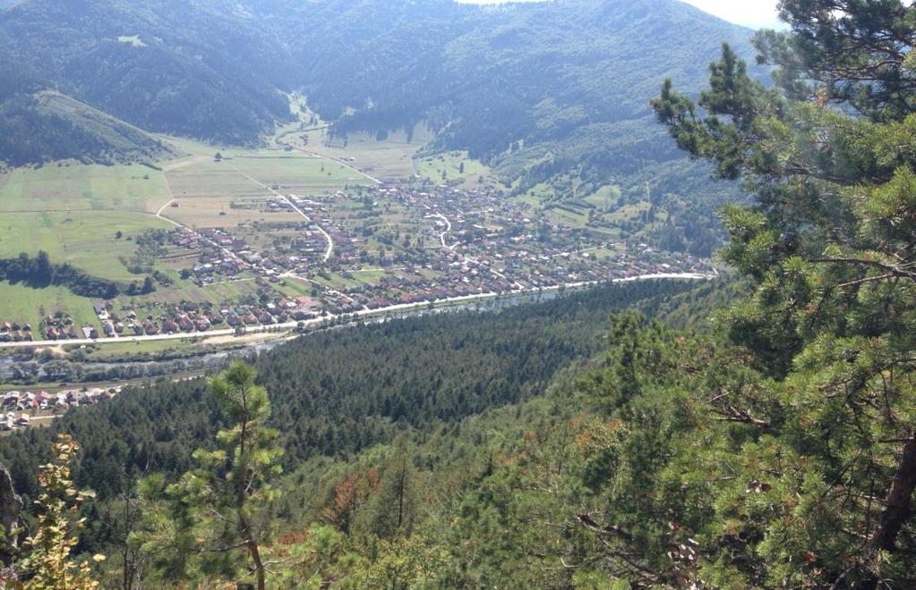 Je slnečné júlové popoludnie. Kvapky horúceho neba padajú na zem ako zlatý dážď. Vánok naplnený letnou horúčavou sa opiera do mohutných korún stromov. Pod nimi ležia nádherné zelené lúky a polia.