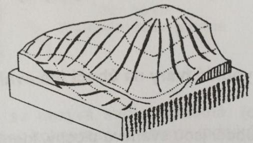 Skalnatý hřbet s ostrými hranami se nazývá hřeben.