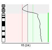 CGH interpretace výsledků heterochromatin zelená -