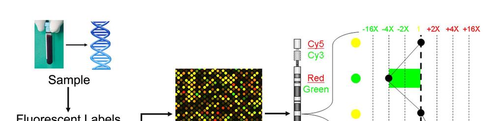 Array CGH